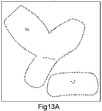 Fig13A